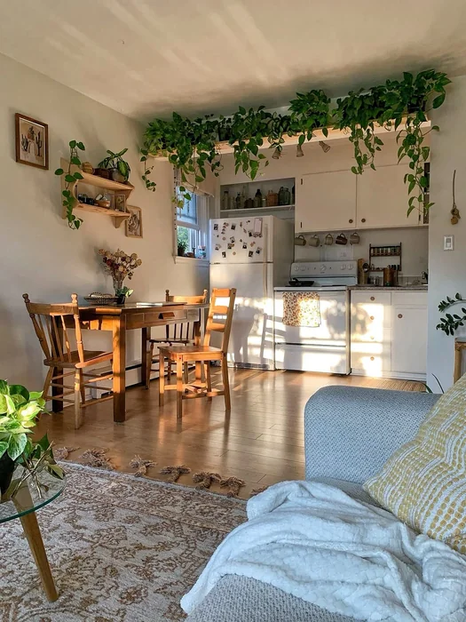 Small Boho Apartment Kitchen with Trailing Vines