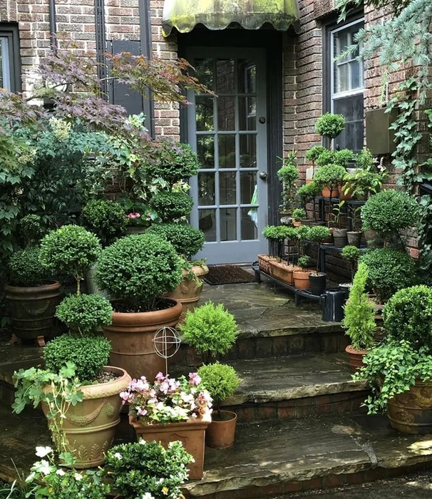 Lush Front Entrance with Topiary and Terracotta Pots