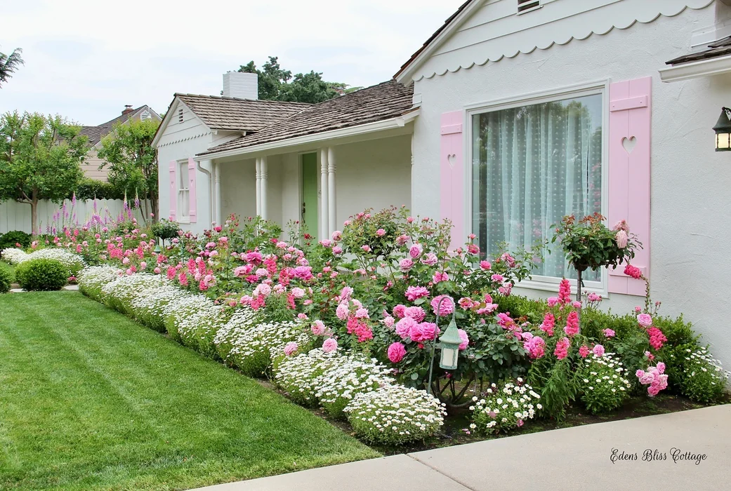 Dreamy Pink Rose Cottage Front Garden
