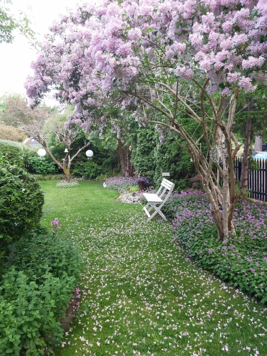 Lilac Tree Garden Retreat with Solar Lanterns