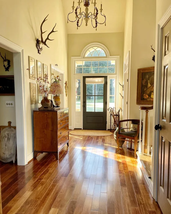 Large Country Foyer with Antler Mount, Antique Dresser, and High Ceilings