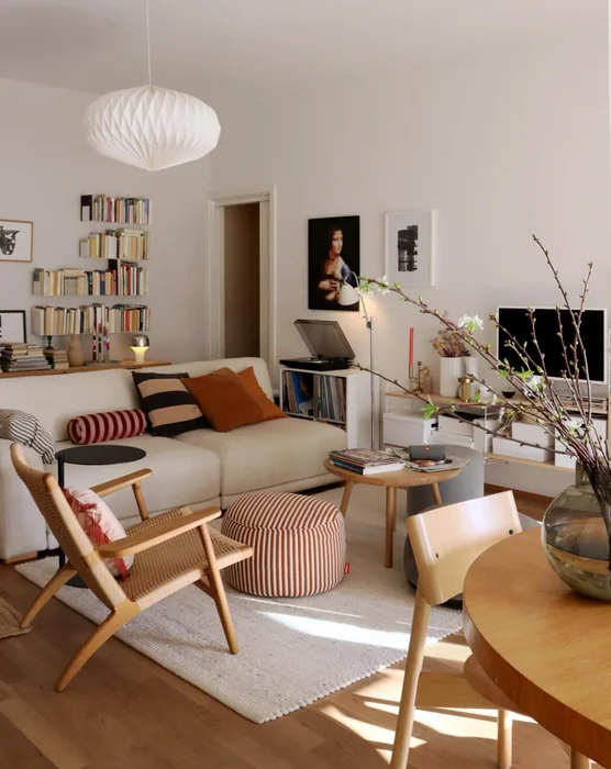 Small Scandinavian Apartment Living Room