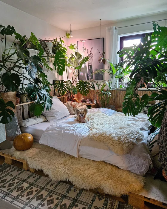 Jungle Bedroom with Pallet Bed and Monstera Plants