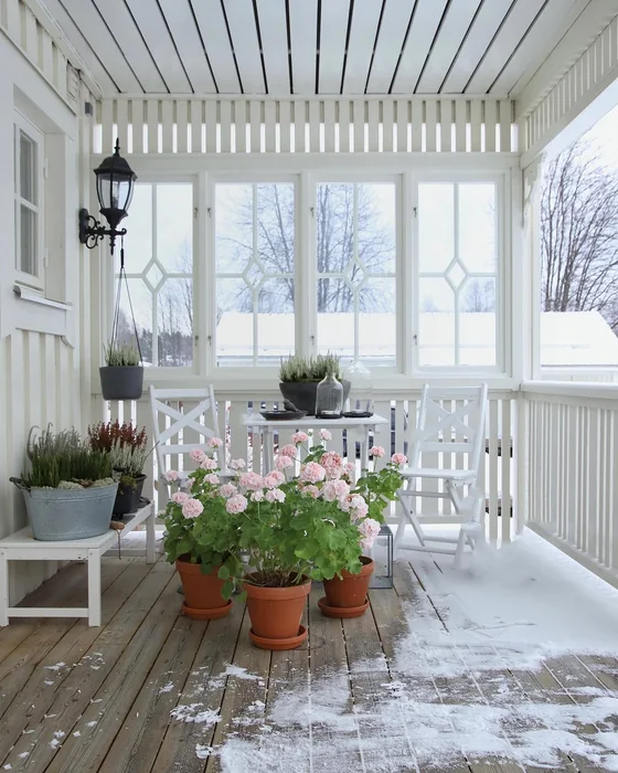 Scandinavian Winter Porch with Potted Flowers