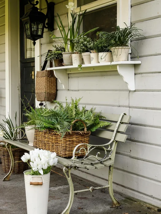 Vintage Front Porch with Ferns and Tulips
