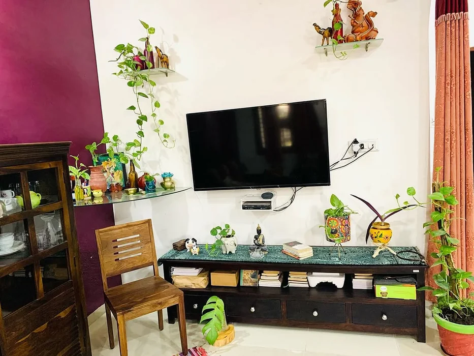 Money Plant Indian TV Wall Decor