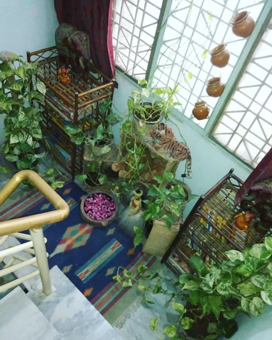 Money Plant Indian Staircase Landing