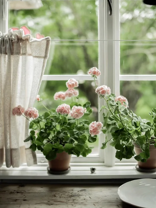 Frosted Floral Window Film