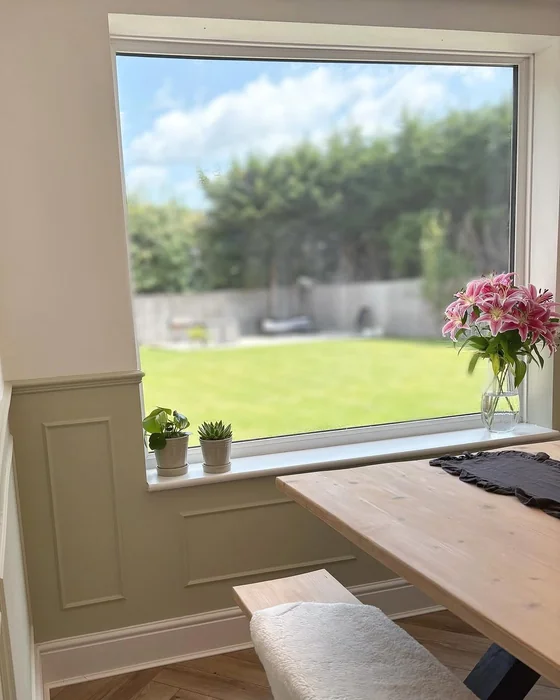 Simple Window Sill with Plants