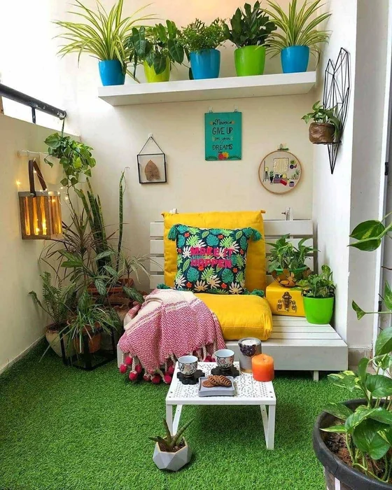 Indian Balcony Garden with Money Plant