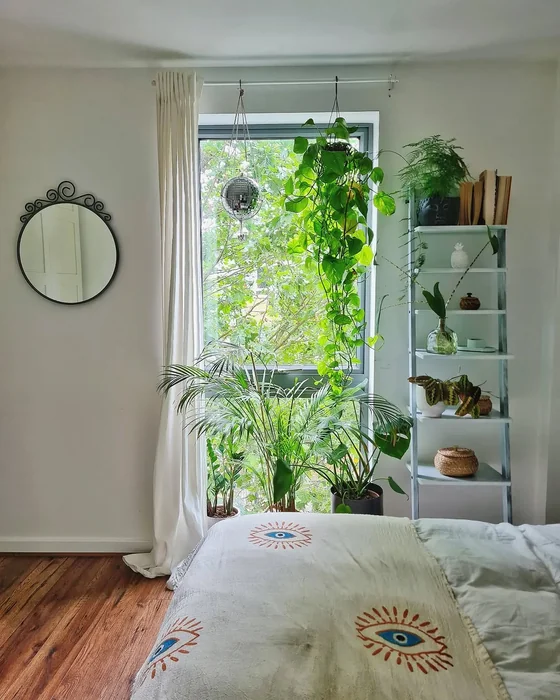 Plant-Filled Small Bedroom with Shelf