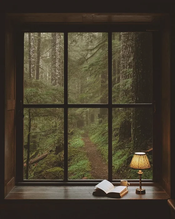 Cozy Cabin Window Sill