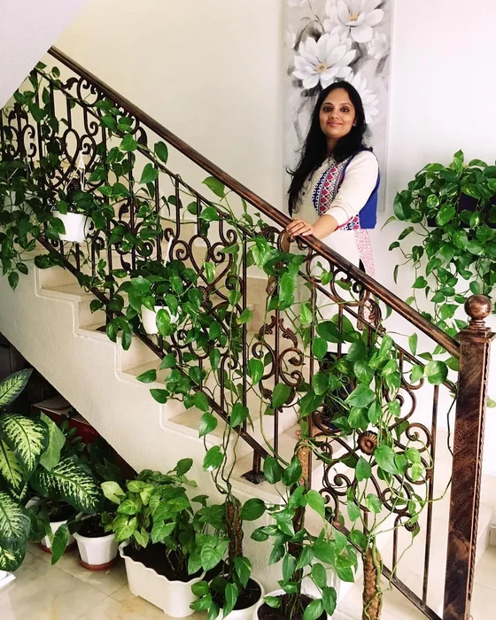 Money Plant Staircase Railing Decor