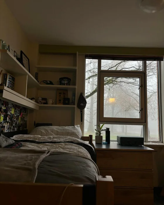 Earthy Guys' Dorm with Shelf Decor & Green Tones