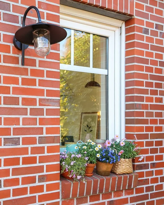 Outdoor Window Sill with Flowers