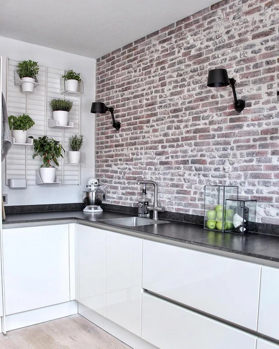 Exposed Brick Accent Wall with Herb Garden Grid