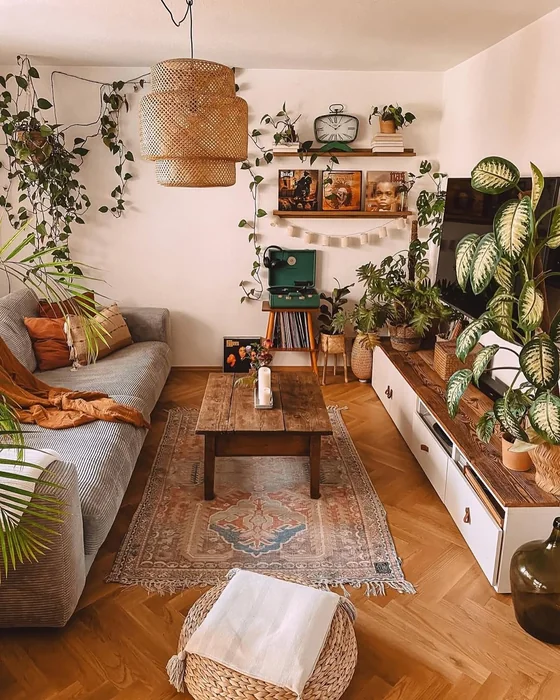 Small Boho Living Room with Vinyl Records & Plants