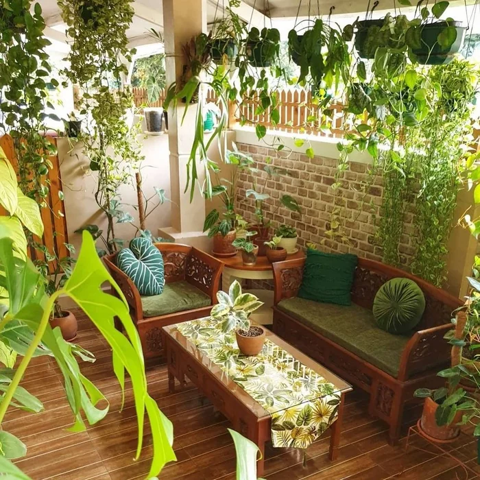Outdoor Seating with Hanging Money Plants