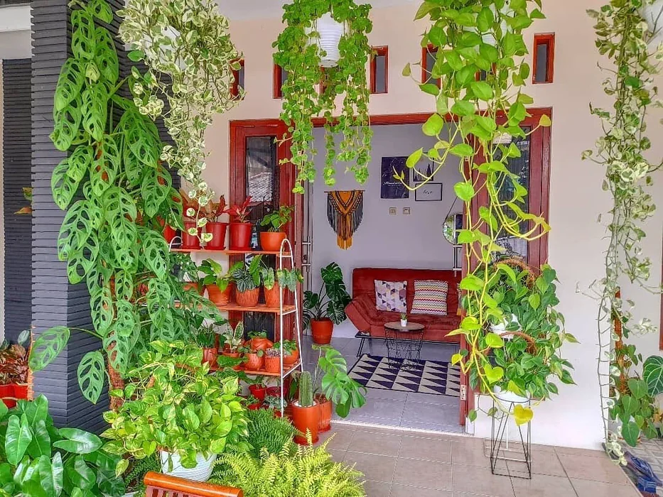 Money Plant Patio Wall Decor