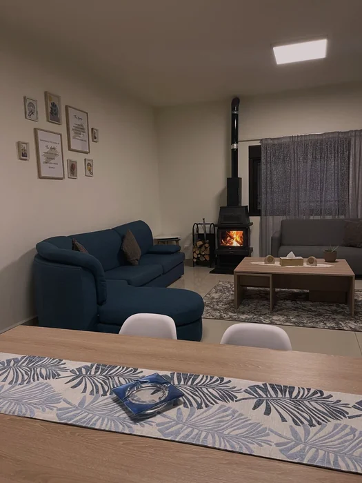 Cozy Airbnb Living Room with Wood-Burning Fireplace